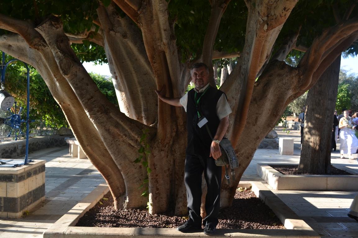 Capernaum, sub smochin