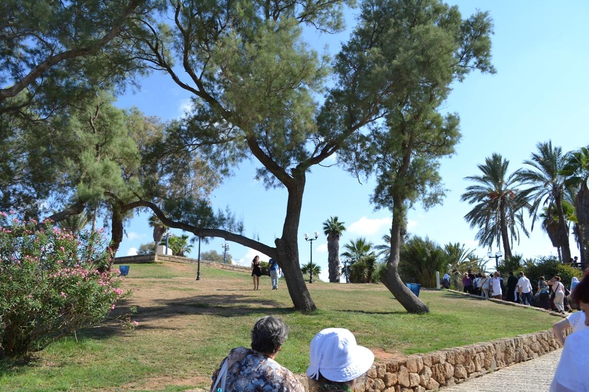 Jaffa