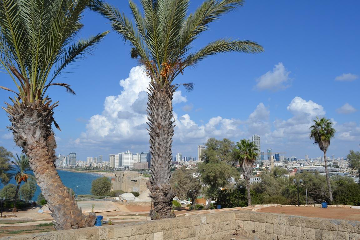 Jaffa